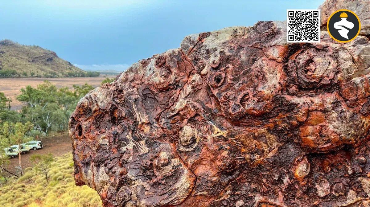 The 3.35 billion-year-old Strelley Pool Formation ‘egg carton’ stromatolites at the Trendall locality in Western Australia.
NASA/Mike Toillion 
