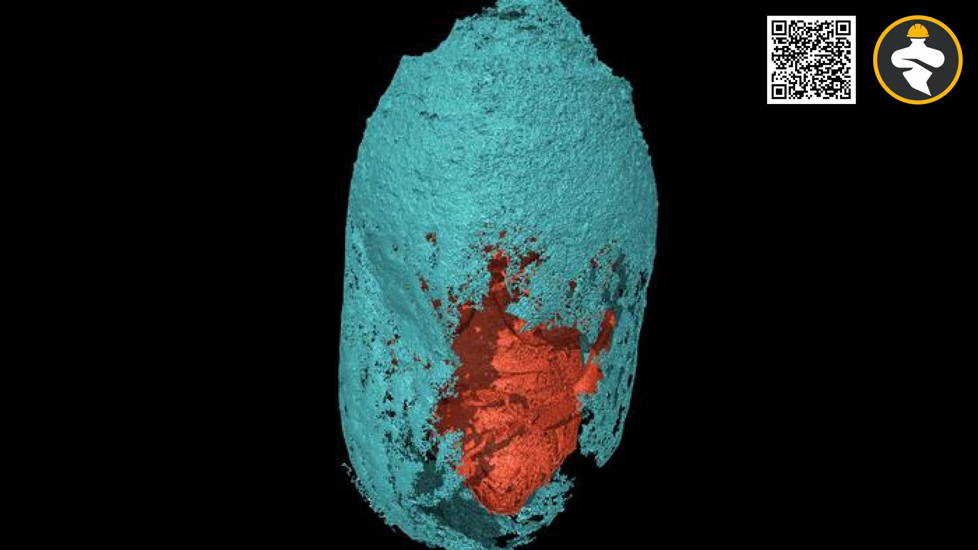 X-ray micro-computed tomography views of a holocene male Eucera bee (ventral) inside a sealed cocoon.
Federico Bernardini/ICTP. 

